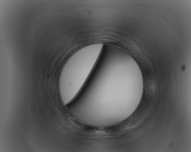 X0000097770224200803070908