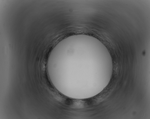 X0000097770226200803070908