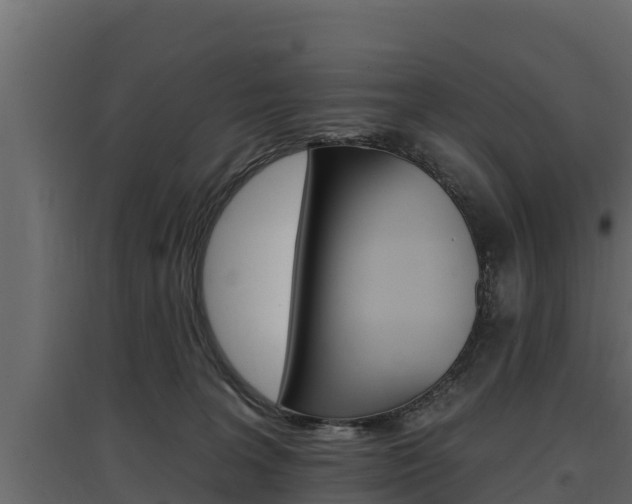 X0000097770227200803070908