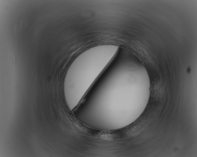 X0000097770228200803070908
