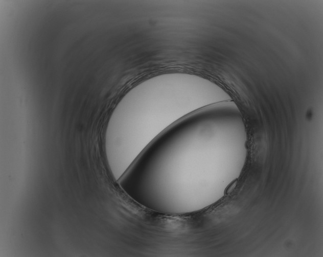 X0000097770229200803070908