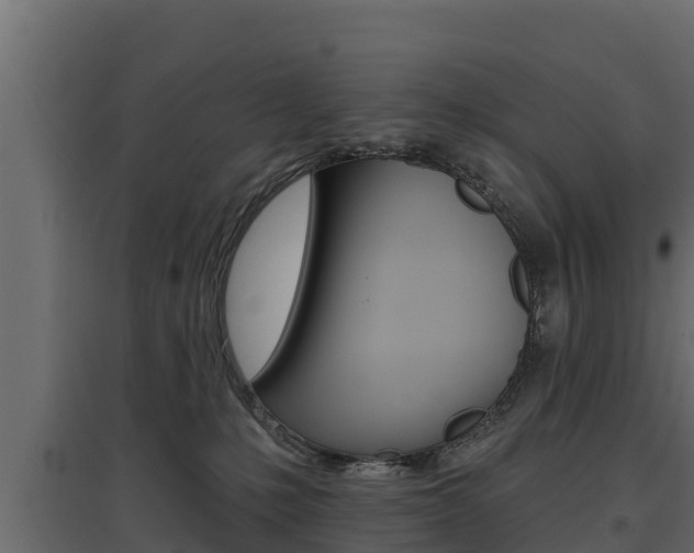 X0000097770231200803070908