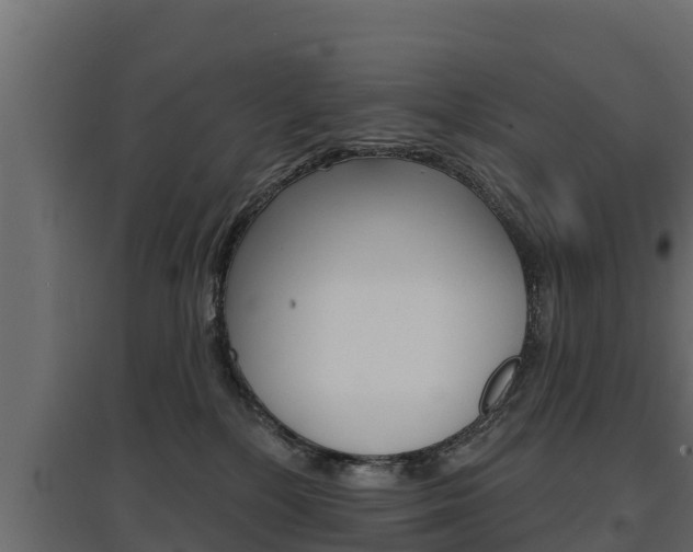 X0000097770232200803070908
