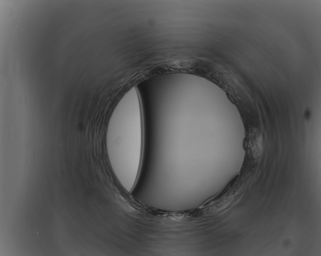 X0000097770235200803070908