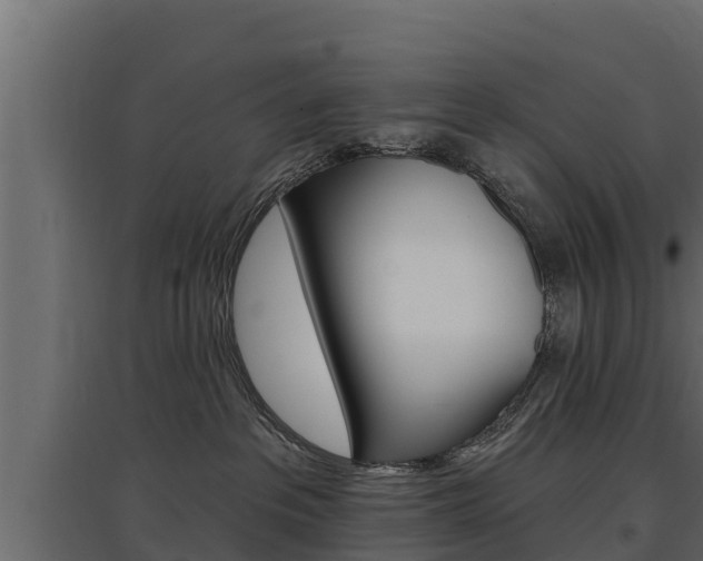 X0000097770237200803070908