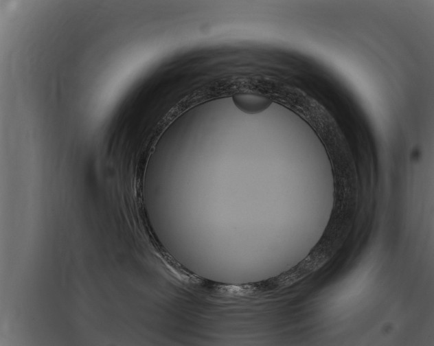 X0000097770239200803070908