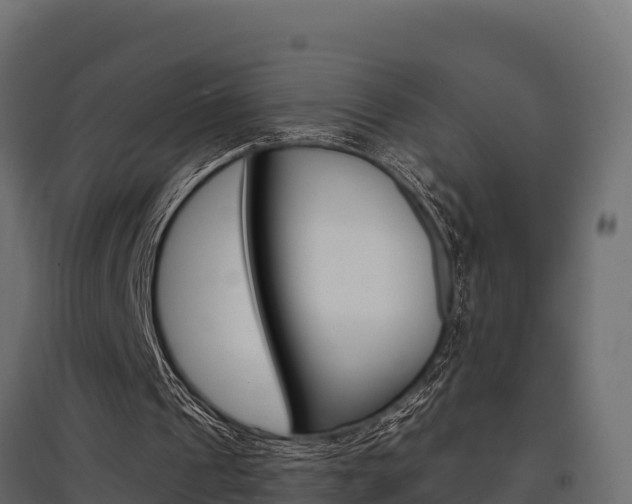 X0000097770241200803070907