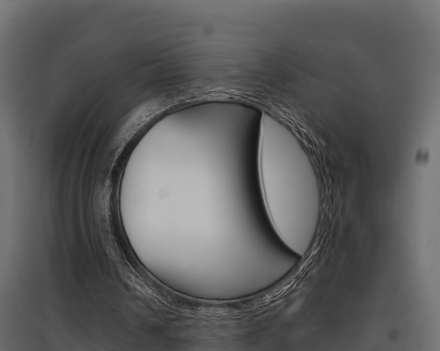 X0000097770242200803070907