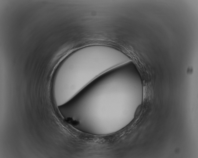 X0000097770243200803070907