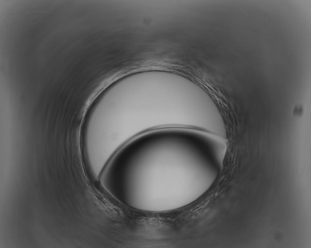 X0000097770244200803070907