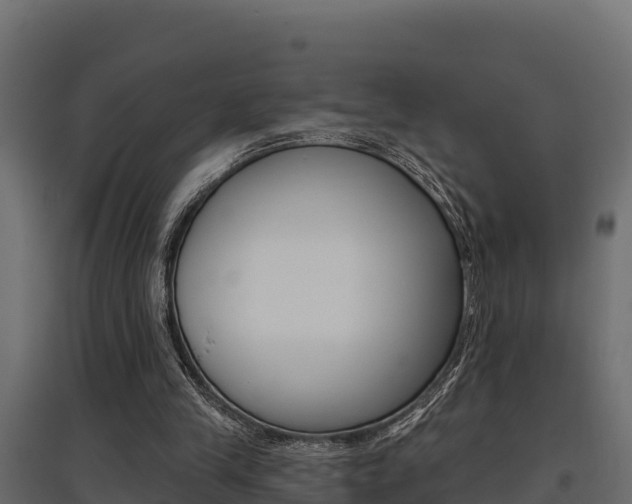 X0000097770245200803070907
