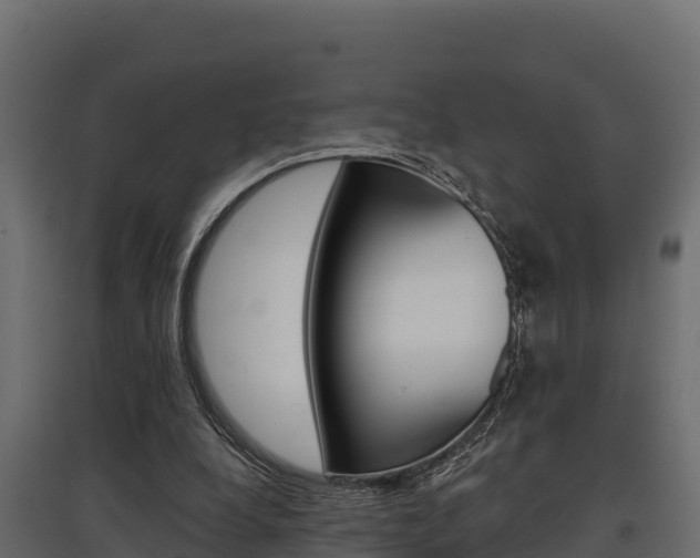 X0000097770248200803070907