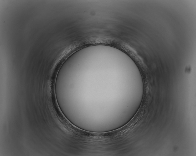 X0000097770250200803070907