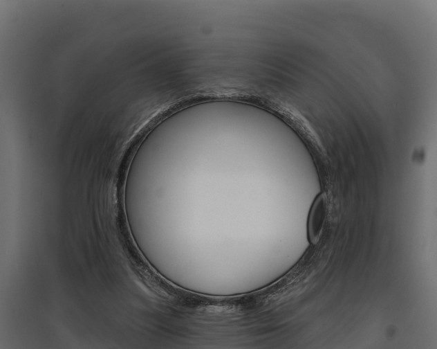 X0000097770251200803070907