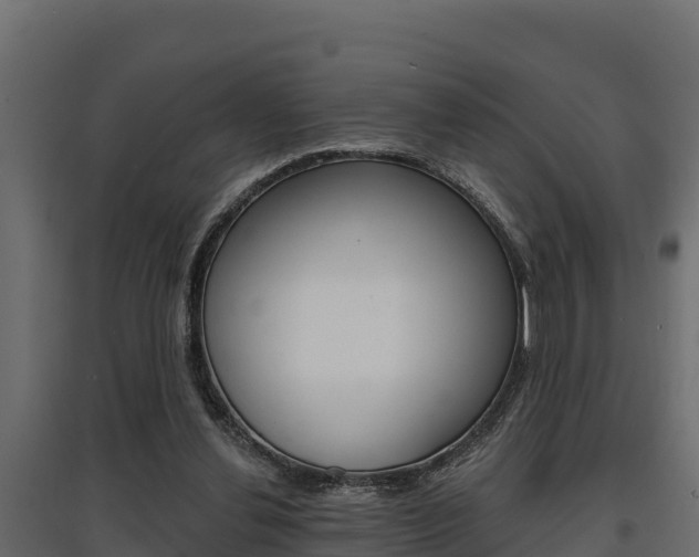 X0000097770252200803070907