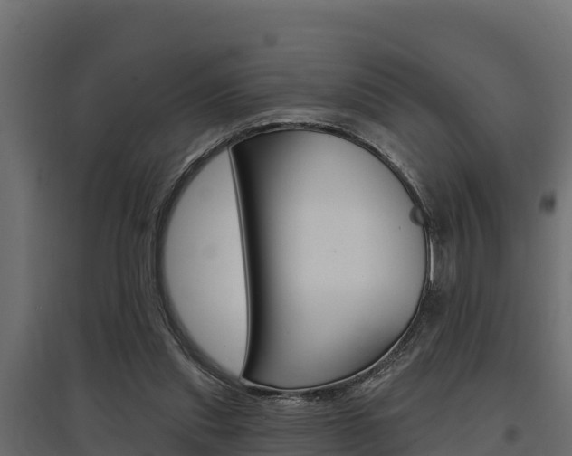 X0000097770253200803070907