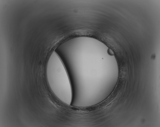 X0000097770255200803070907