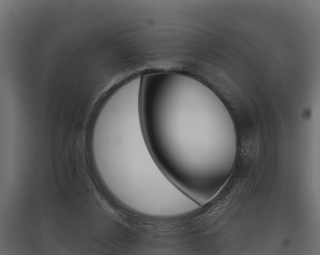 X0000097770256200803070907