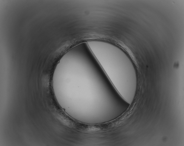 X0000097770257200803070907