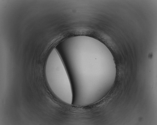 X0000097770258200803070907