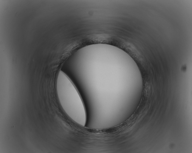 X0000097770259200803070907