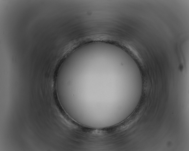 X0000097770261200803070907