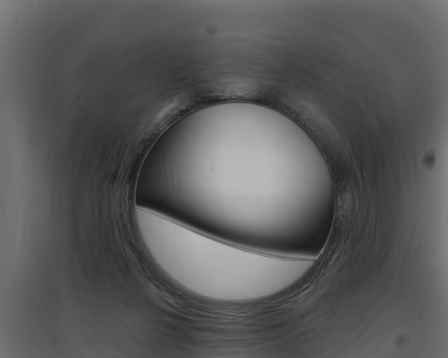 X0000097770264200803070907