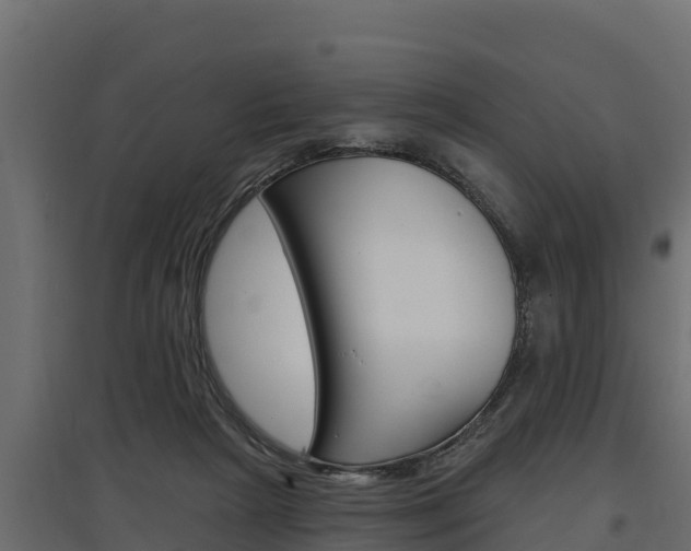 X0000097770265200803070907