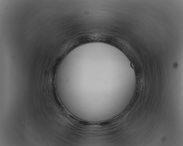 X0000097770266200803070907