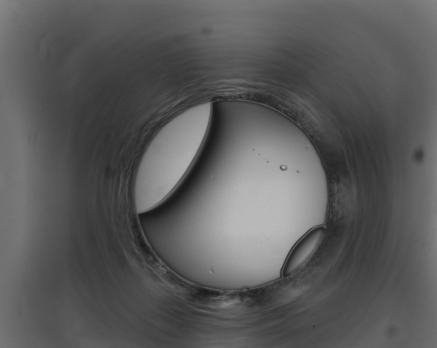 X0000097770267200803070907