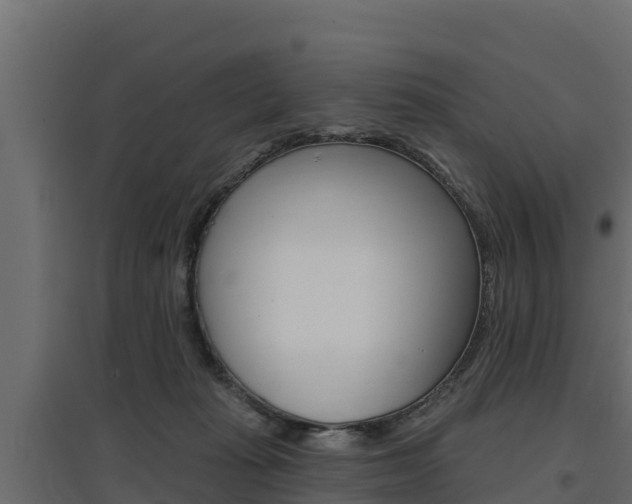 X0000097770269200803070908