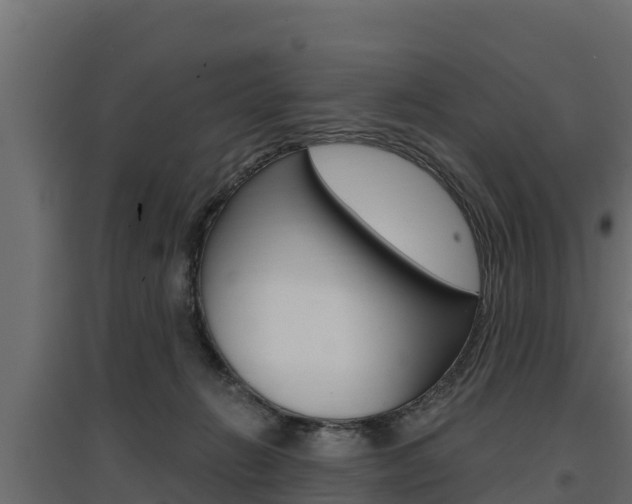 X0000097770270200803070908
