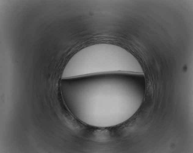 X0000097770271200803070908