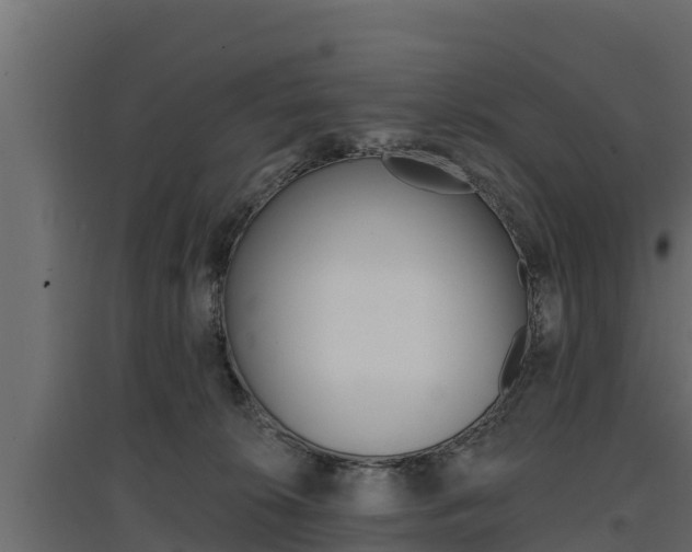 X0000097770276200803070908