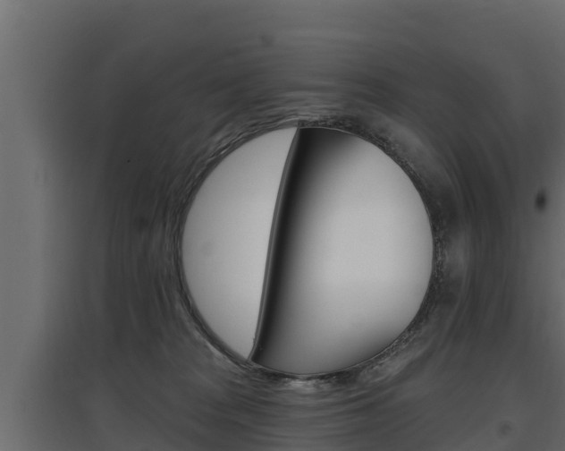 X0000097770277200803070908