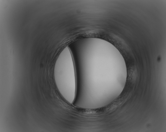 X0000097770278200803070908