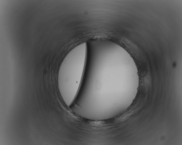 X0000097770281200803070908