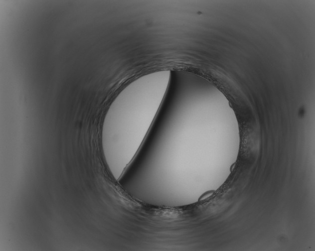 X0000097770282200803070908