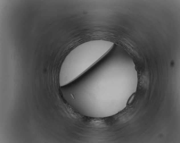 X0000097770283200803070908