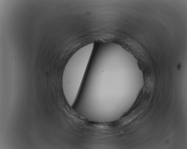 X0000097770284200803070908