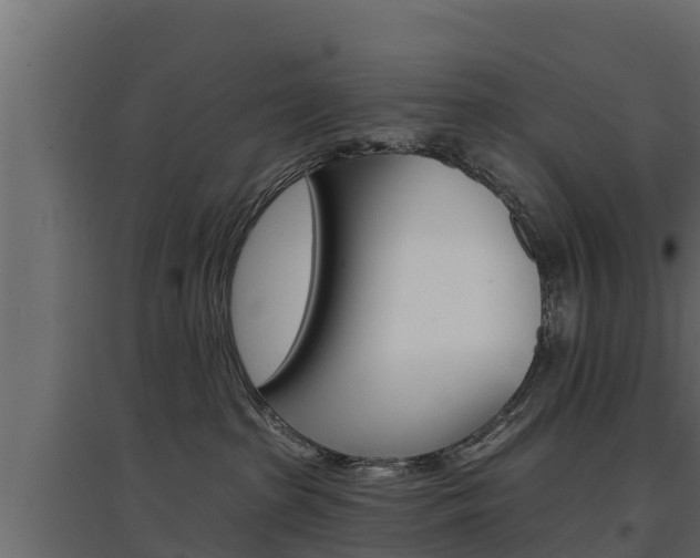 X0000097770285200803070908