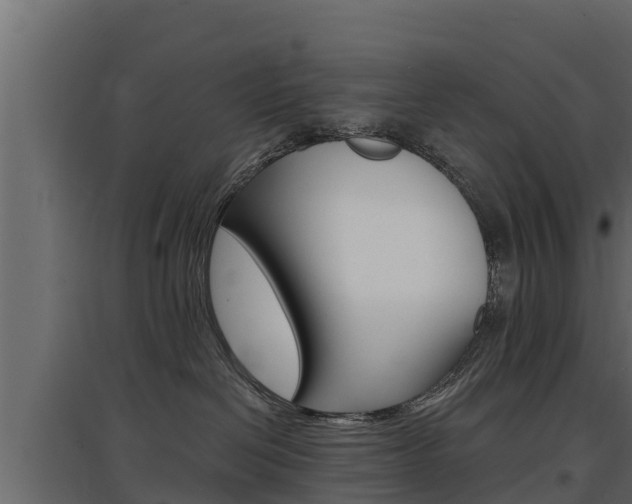X0000097770286200803070908