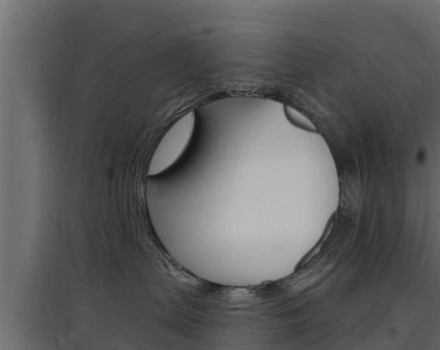 X0000097770287200803070908
