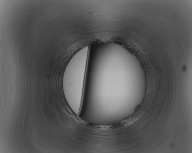 X0000097770288200803070908