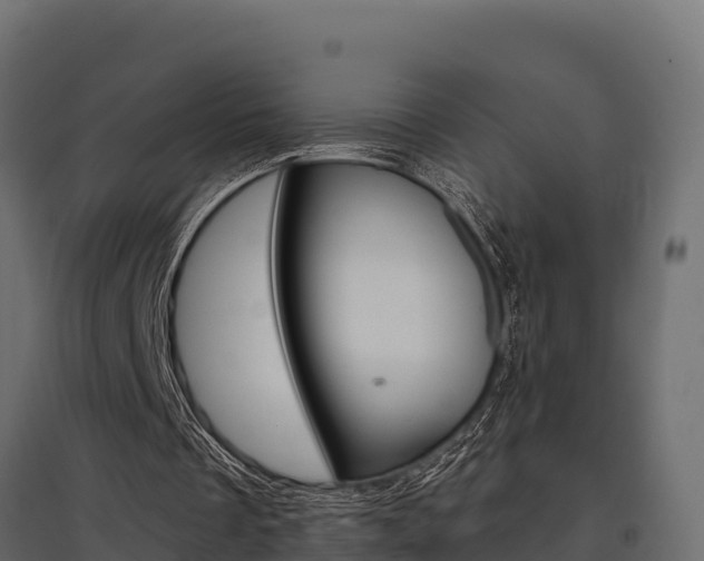 X0000097770289200803070907