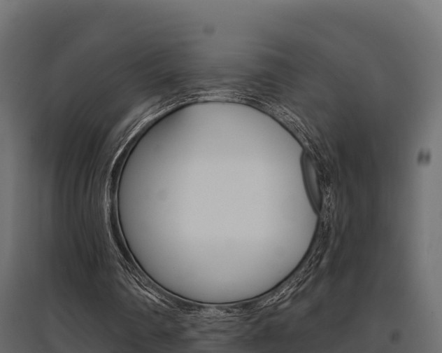 X0000097770290200803070907