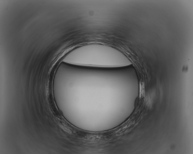 X0000097770291200803070907