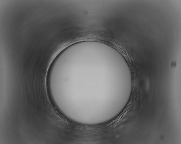 X0000097770292200803070907
