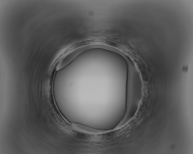 X0000097770293200803070907