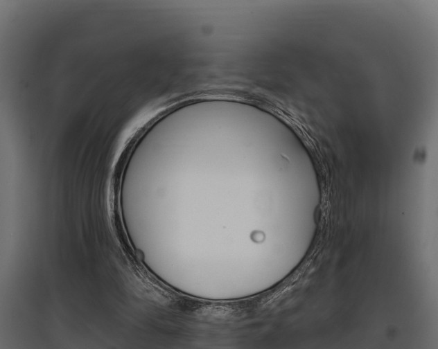 X0000097770294200803070907